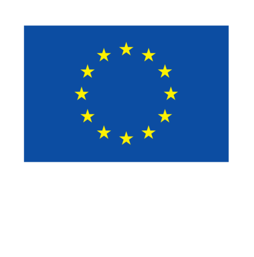 Co-funded by the European Union